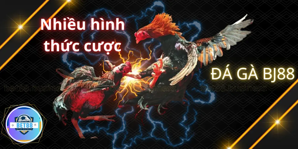 Đá gà BJ88 – Bồ Gà Chất Lượng Đỉnh Cao Dành Cho Giới Kê Thủ Tại Bet88 3 Đá gà BJ88 phát sóng đa dạng giải đấu