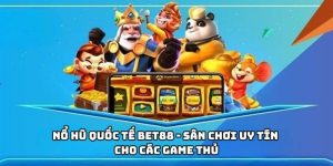 anh dai dien 11