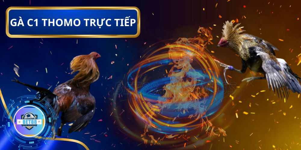 Đá Gà Trực Tiếp C1 Hôm Nay Có Bình Luận Viên Siêu Kịch Tính 2 Quy tắc cược đá gà C1 trực tiếp