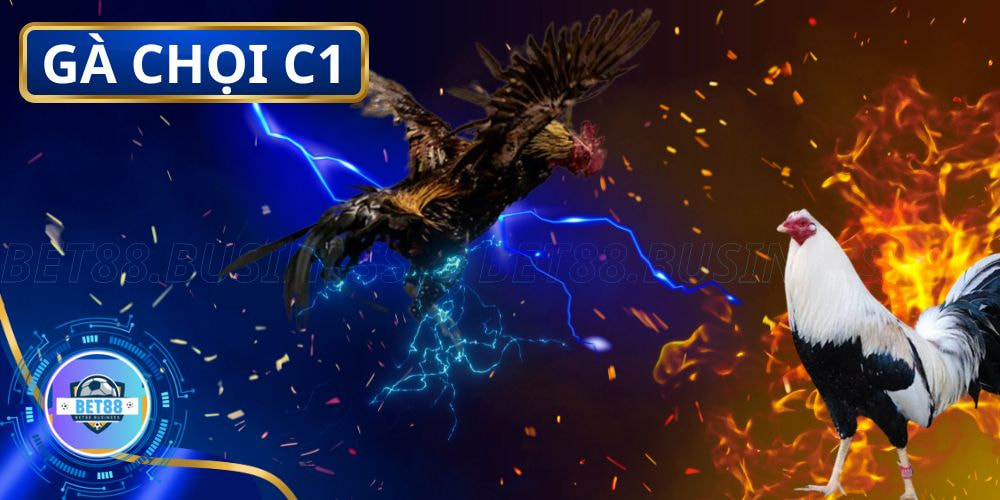 Đá Gà Trực Tiếp C1 Hôm Nay Có Bình Luận Viên Siêu Kịch Tính 1 Thông tin cụ thể về chọi gà C1