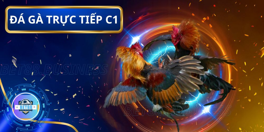 Đá Gà Trực Tiếp C1 Hôm Nay Có Bình Luận Viên Siêu Kịch Tính 4 Hướng dẫn xem trực tiếp và vào kèo đá gà C1 tại Bet88
